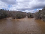 03102011 Tyger River_2